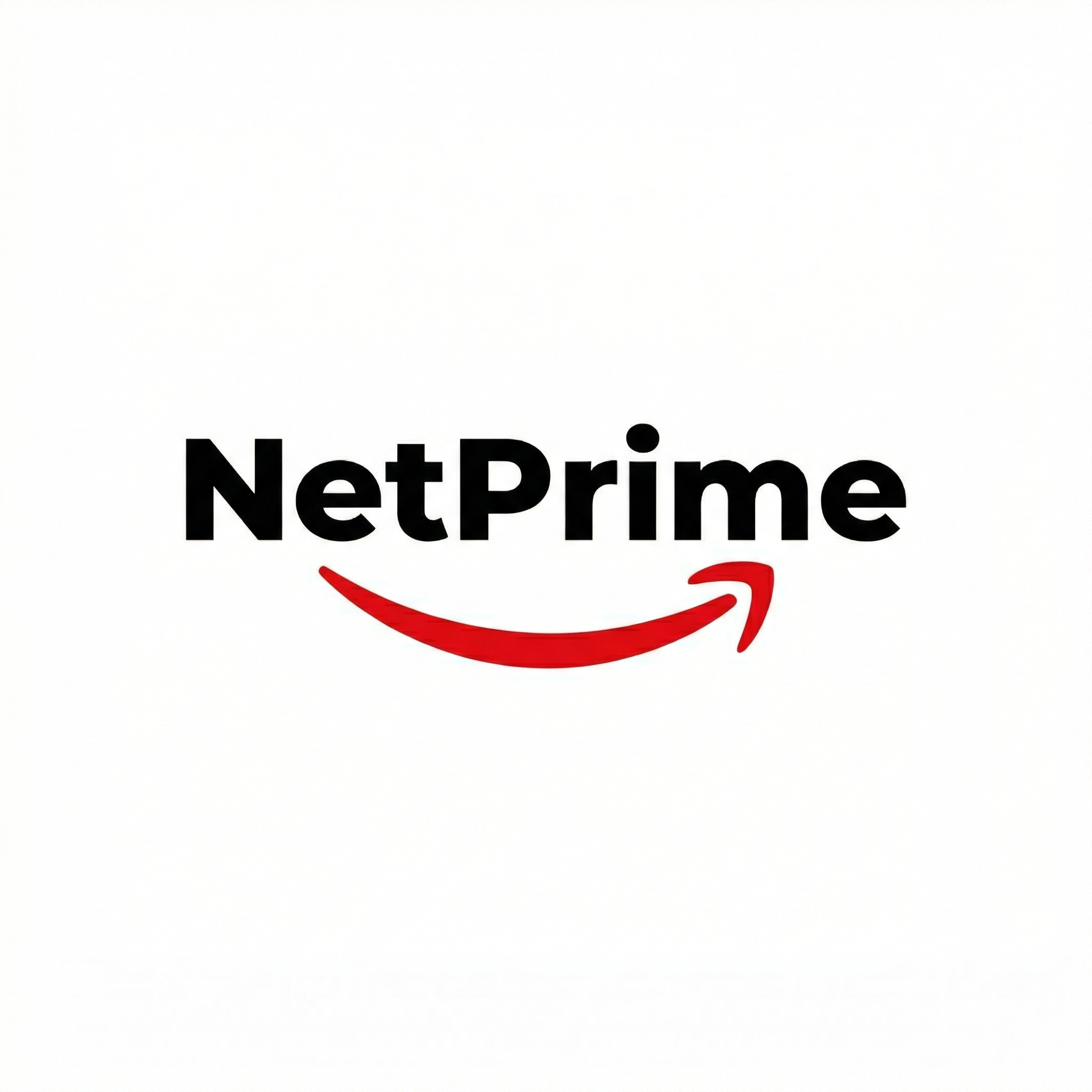 Netprime services international logo